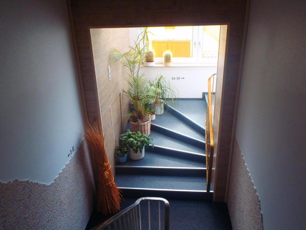 Hotel Hannen Papenburg Dış mekan fotoğraf
